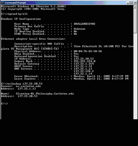 This is a screen shot of ipconfig & nslookup.
