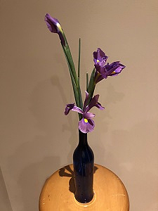 iris flower arrangement
