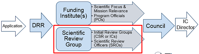 NIH Review Process image