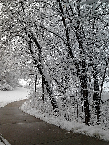 Pretty winter from GoodHue