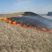 Imaged of prescribed burning for grasslands management in the Cowling Arboretum.