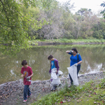 Volunteers work together to pick up litter on the banks of the Cannon River.