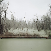 Richard Misrach Swamp and Pipeline, Geismar, Louisiana, 1998