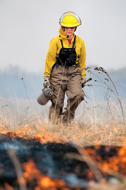 Carleton Arb staff and students use prescribed burns to manage McKnight Prairie.