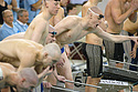 Denison, 800 freestyle relay champions