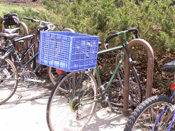 One of Carleton's Green Bikes