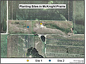 Satellite image of McKnight Prairie with both sites