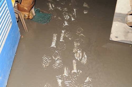 Muddy floor