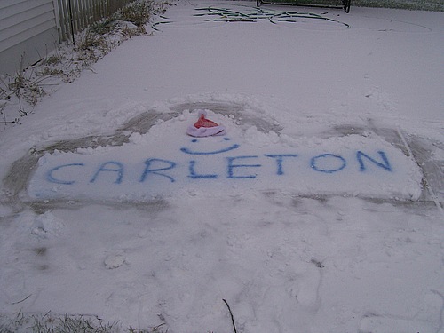Carleton Snow Art