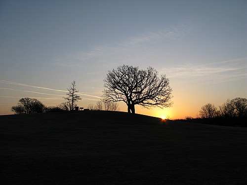 Sunrise on the Hill of Three Oaks