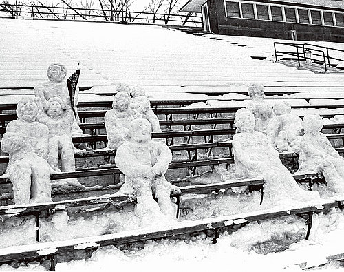 snow fans, 1978–79