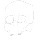 Andy's 1st-week skull sketch