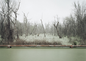 Richard Misrach, Swamp and Pipeline, Geismar, Louisiana, 1998