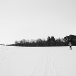 Skiing in the Arb