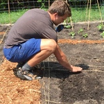 Noah Anderson plants some seeds in the garden.
