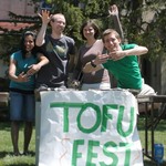 Tofu Fest