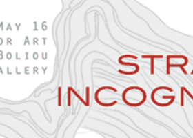 Strata Incognita: May 16 - Senior Art - Boliou - Art Gallery