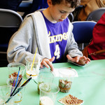 Photo Feature: Perlman Teaching Museum Family Day
